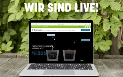 Lancio del sito web