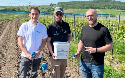 Research initiative in viticulture in cooperation with the FH Burgenland