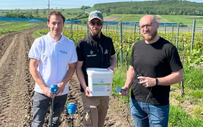 Iniciativa de investigación en viticultura en cooperación con Forschung Burgenland