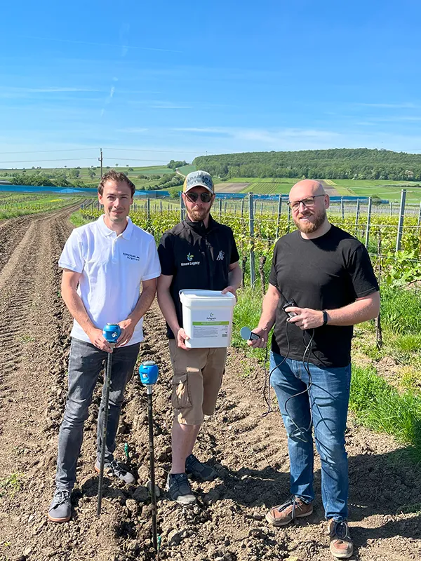 Forschungsinitiative im Weinbau, FH Burgenland, Polygrain, Forschung, Weingarten, Wasserspeichernd, Studie, Hydrogel