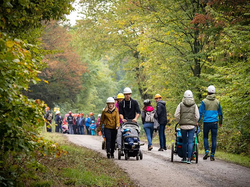 Waldtage 2024, Burgenland, Leithagebirge, Pannatura, Esterhazy