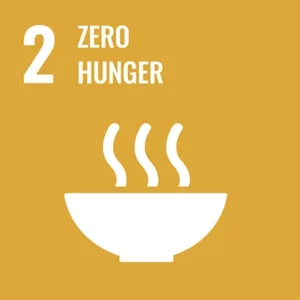 UN, United Nations Organizations, Goals, UN Sustainable Development Goals, SDG