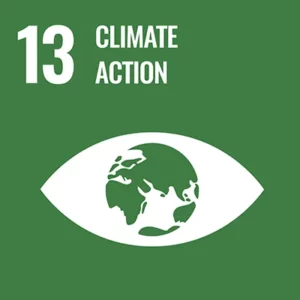 UN, United Nations Organizations, Goals, UN Sustainable Development Goals, SDG