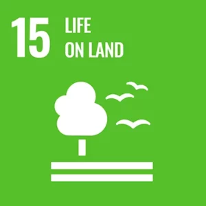UN, United Nations Organizations, Goals, UN Sustainable Development Goals, SDG