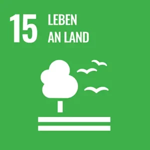 UNO, United Nations Organisations, Ziele, UN-Nachhaltigkeitsziele, SDG