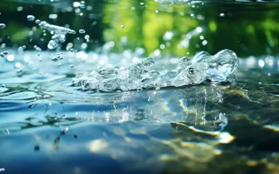 Wussten Sie, dass unsere Wasserressourcen begrenzt sind?