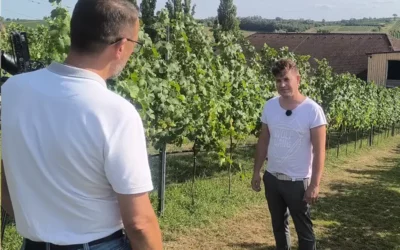 Winzer Wolfgang Hagn im Gespräch mit W24 Wirtschafts-Inside Talk