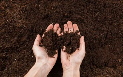 Neue Partnerschaft: Biomasserecycling mischt Substrate mit Polysorb