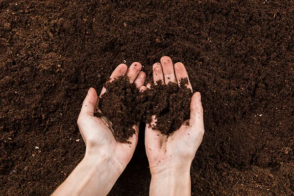 Granulat, Biomasserecycling, Österreich, International, Biomasse, Polysorb, Polygrain, wasserspeichernde Granulate