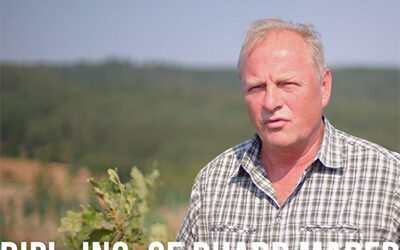 Successful reforestation