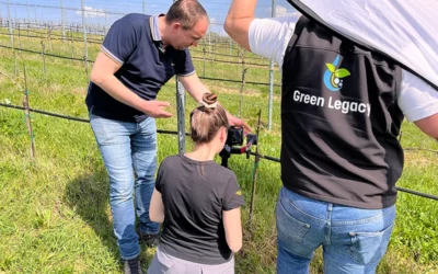 Ein Blick hinter die Kulissen bei Green Legacy!