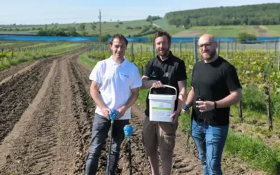 Polygrain überzeugt im Weinbau-Versuch: Weniger Gießen, mehr Widerstandskraft
