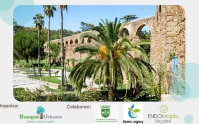 Conférence sur l’amélioration des arbres urbains grâce à des techniques durables et innovantes