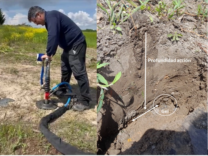 Essai sur les espaces verts durables el ejidillo green legacy