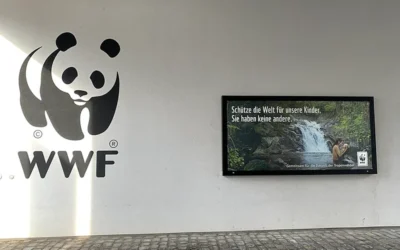 Green Legacy unterstützt WWF-Projekt „Plantar Água“ in Portugal